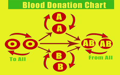 Blood Donation Facts