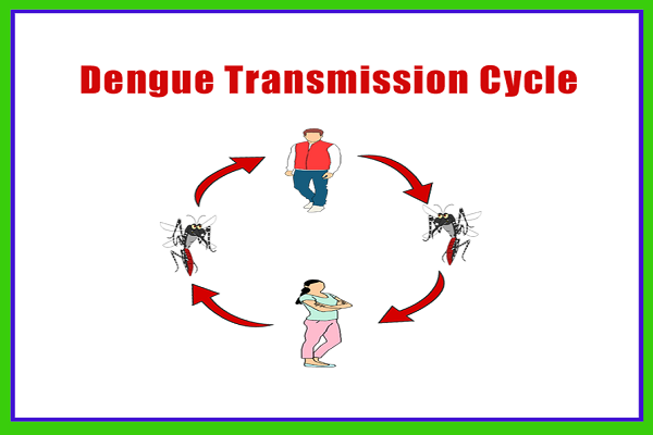 Dengue Treatment at Home: Dengue Test, Dengue Platelets Counts