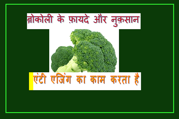 Broccoli in Hindi