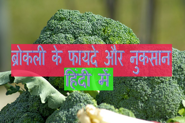 Broccoli in Hindi