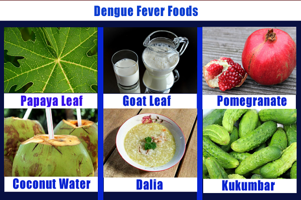 What to Eat in Dengue: Dengue Treatment Foods, How to Prevent Dengue
