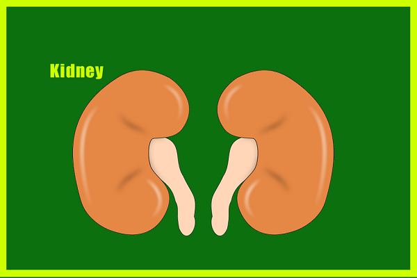 Flexon Tablet Warning- Kidney
